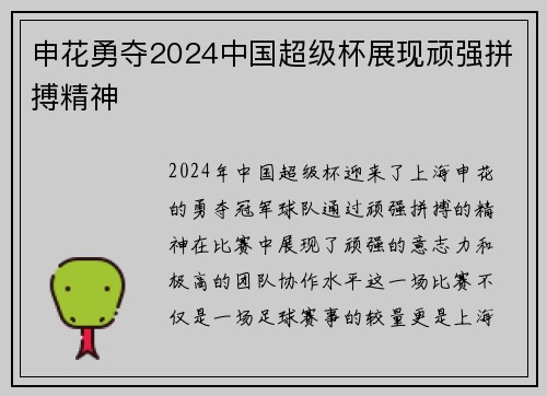 申花勇夺2024中国超级杯展现顽强拼搏精神